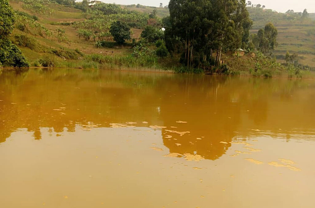 Why Lake Bunyonyi’s Waters Turn Brown:
