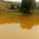 Why Lake Bunyonyi’s Waters Turn Brown: