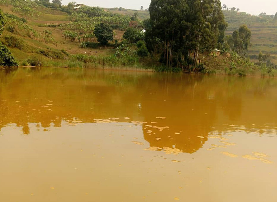 Why Lake Bunyonyi’s Waters Turn Brown: