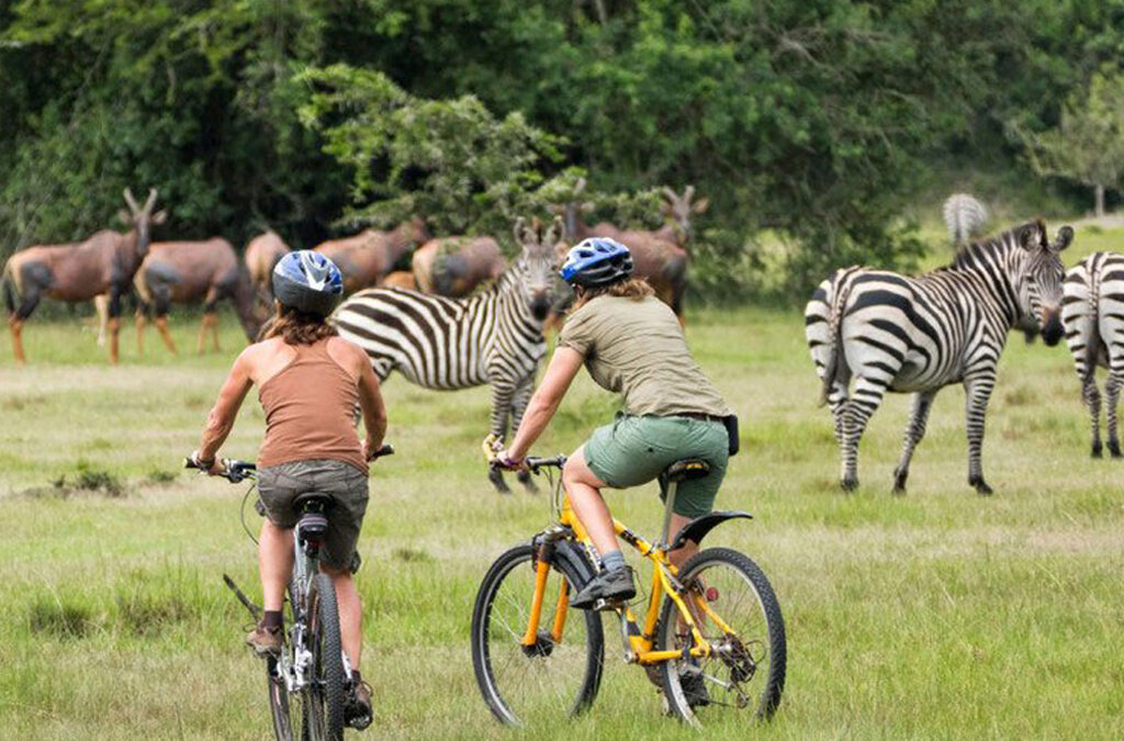 Top Activities and Attractions in Lake Mburo National Park