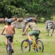 Top Activities and Attractions in Lake Mburo National Park