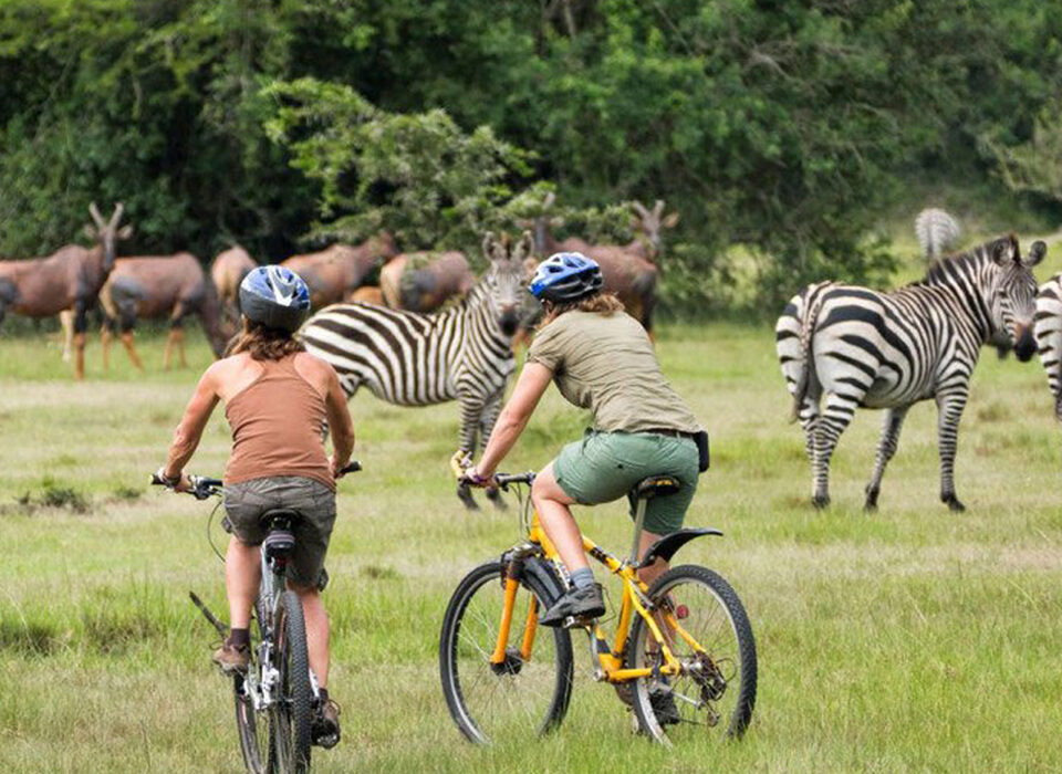 Top Activities and Attractions in Lake Mburo National Park