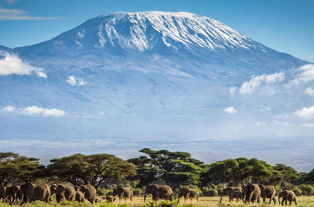 Fancy 10 Instagrammable Destinations in Tanzania