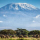 Fancy 10 Instagrammable Destinations in Tanzania