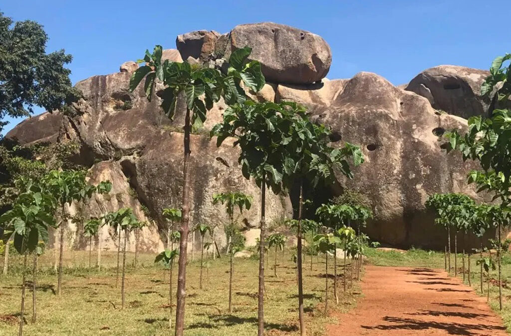 Explore Nyero Rock Paintings: Uganda’s Ancient Artistry