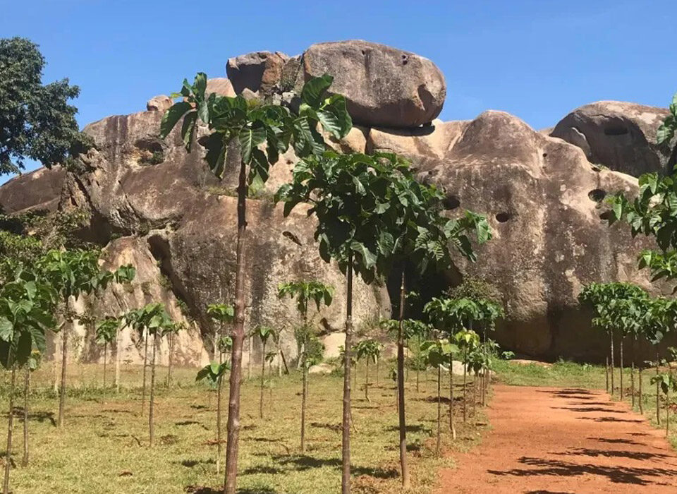 Explore Nyero Rock Paintings: Uganda’s Ancient Artistry