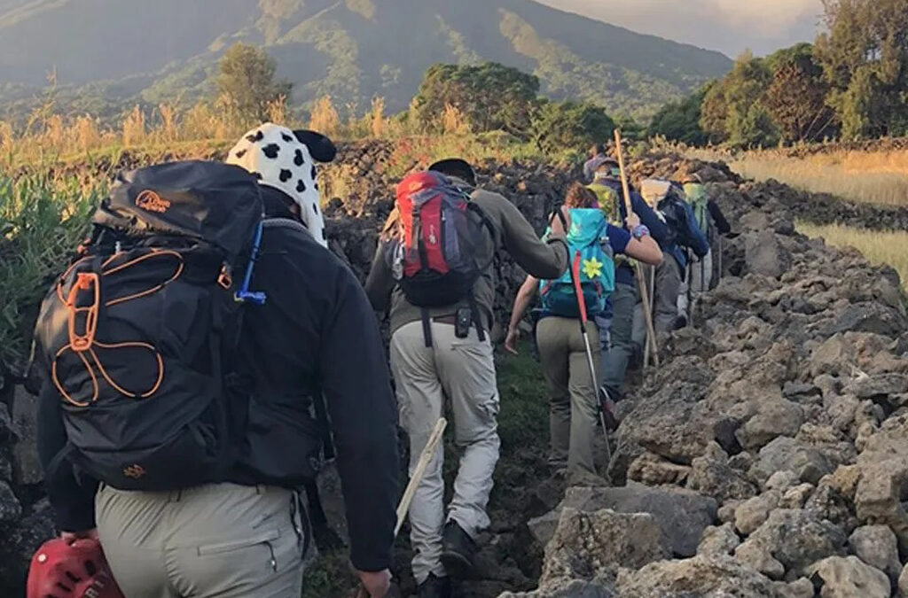  What are the  Trekking Options in Uganda