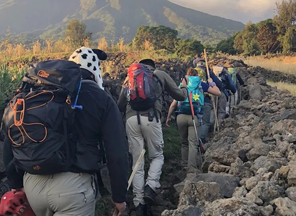  What are the  Trekking Options in Uganda