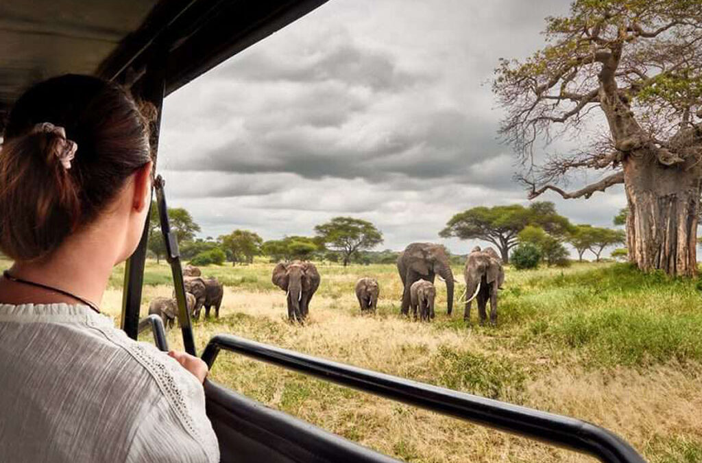 Solo Travel in Tanzania: Unforgettable Adventures with Experiya Tour Company