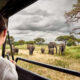 Solo Travel in Tanzania: Unforgettable Adventures with Experiya Tour Company