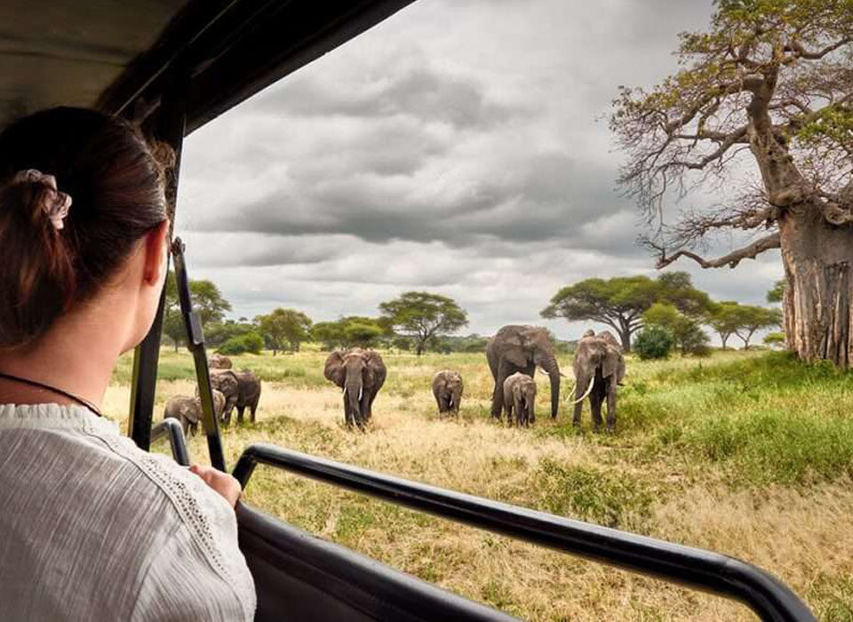 Solo Travel in Tanzania: Unforgettable Adventures with Experiya Tour Company