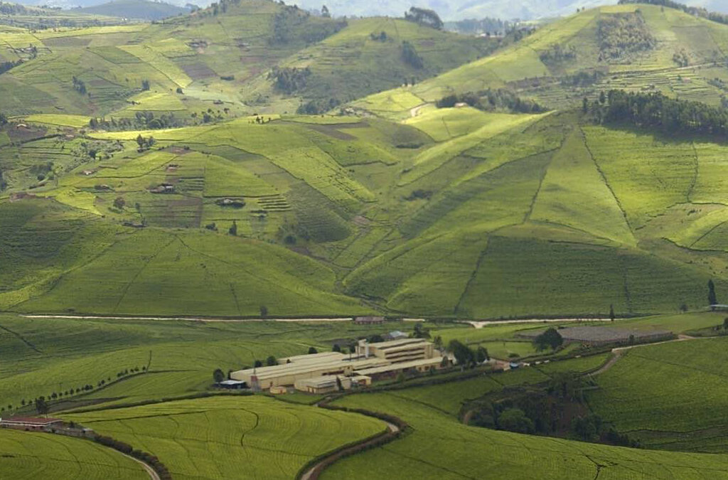 Why Rwanda Is Referred to as the Land of a Thousand Hills