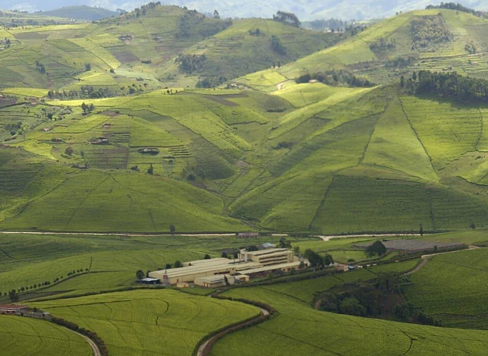 Why Rwanda Is Referred to as the Land of a Thousand Hills