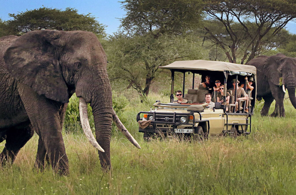 Why Tourism Is Expanding Across the Globe