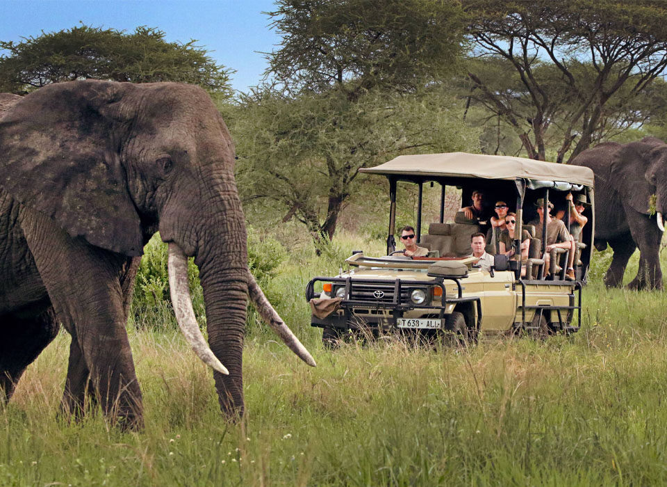Why Tourism Is Expanding Across the Globe