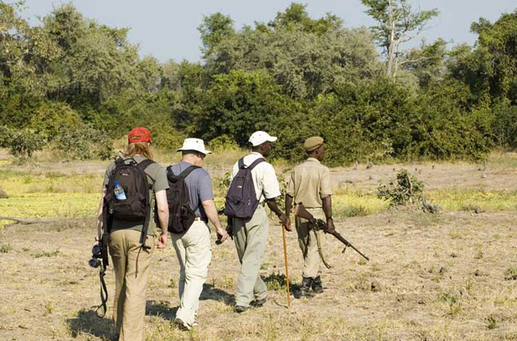 Walking Safaris in Tanzania