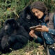 How Gorilla Trekking Benefits Conservation