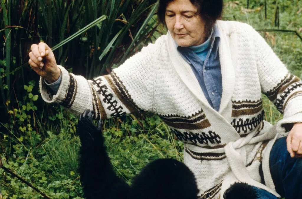 Who Killed Dian Fossey?