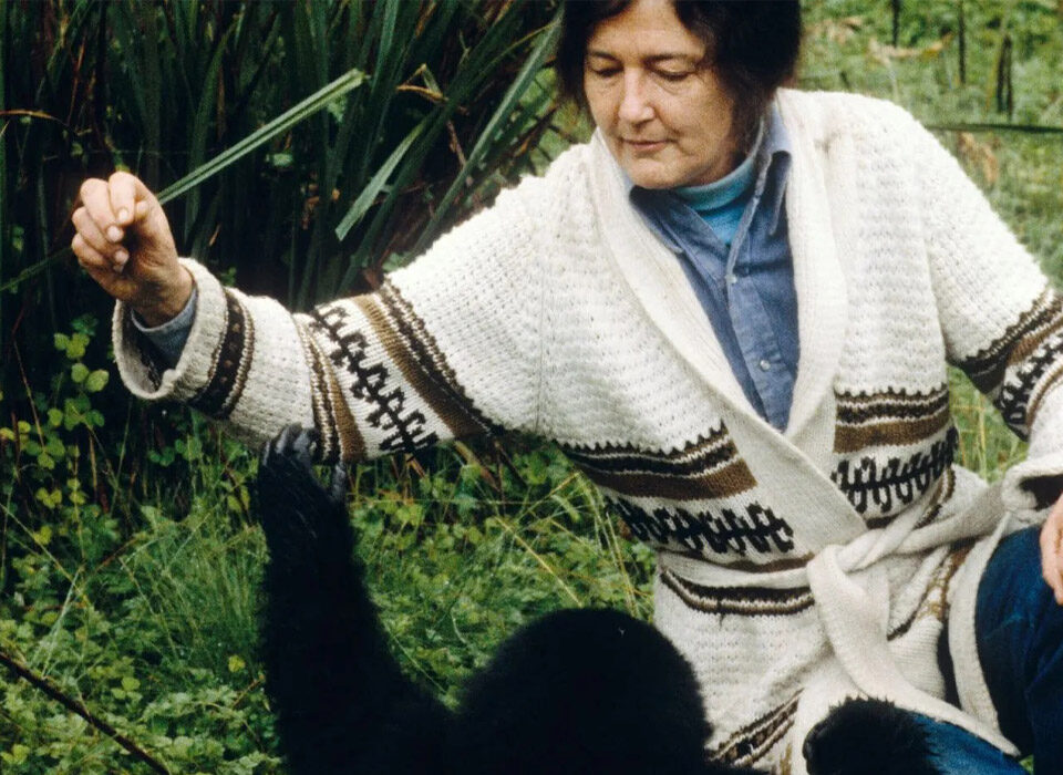 Who Killed Dian Fossey?