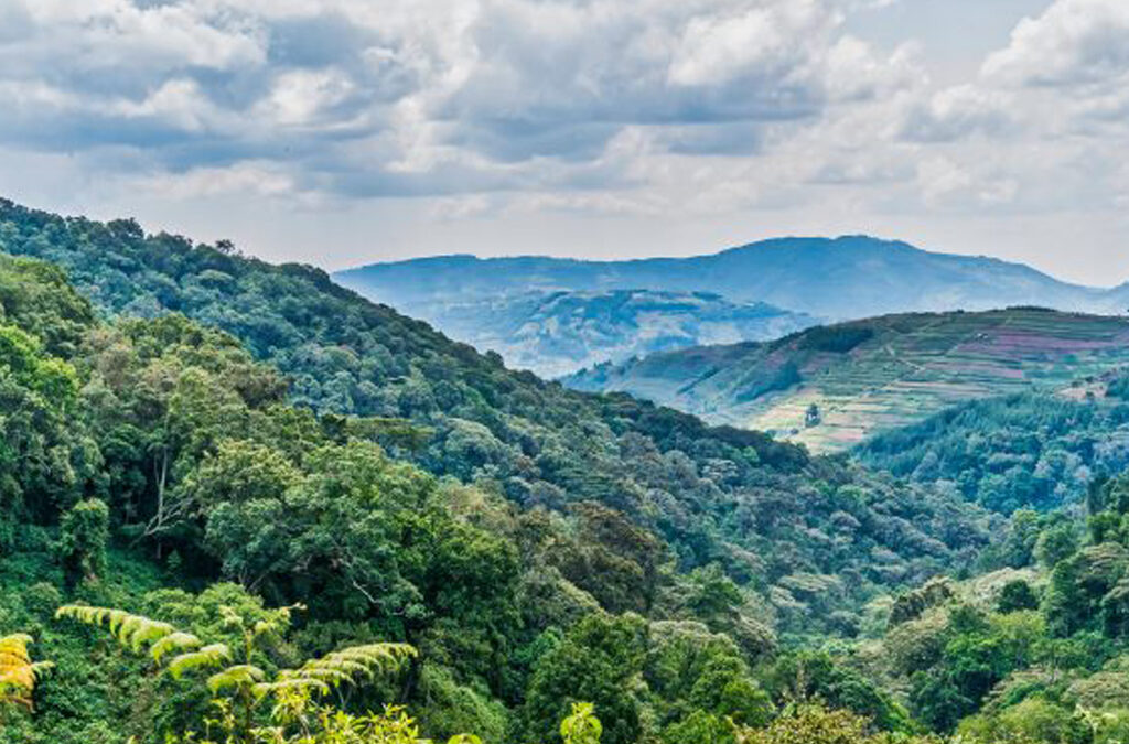 Distance Between Volcanoes and Bwindi Impenetrable National Park