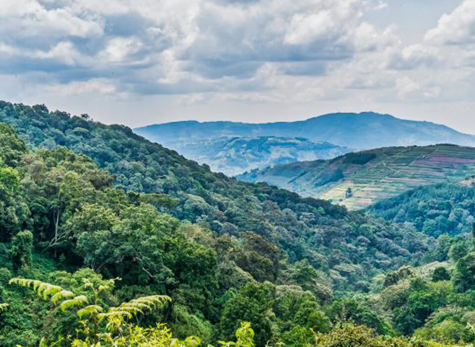 Distance Between Volcanoes and Bwindi Impenetrable National Park