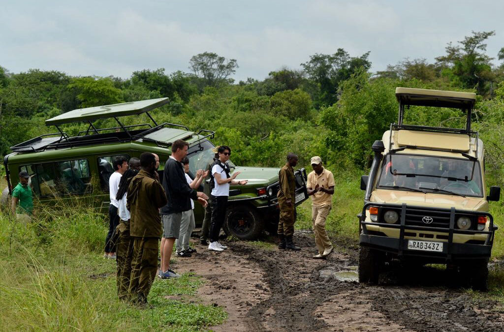 Eco-Friendly Travel in Rwanda