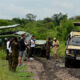 Eco-Friendly Travel in Rwanda