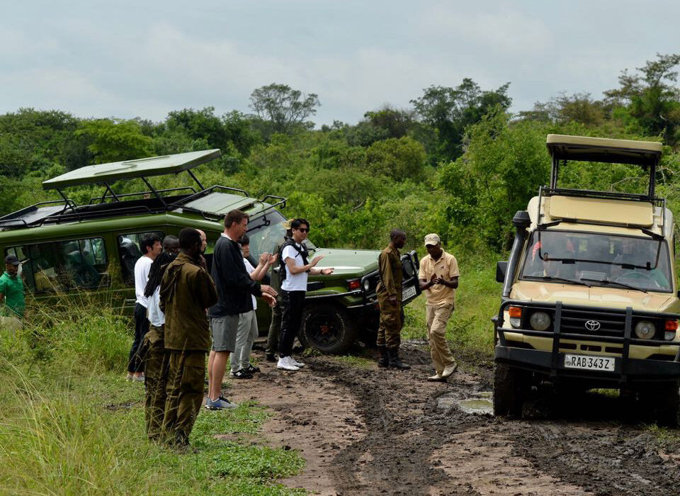 Eco-Friendly Travel in Rwanda