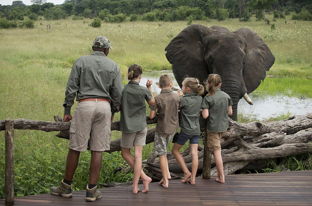10 Considerations for Families Going on Safari