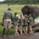10 Considerations for Families Going on Safari