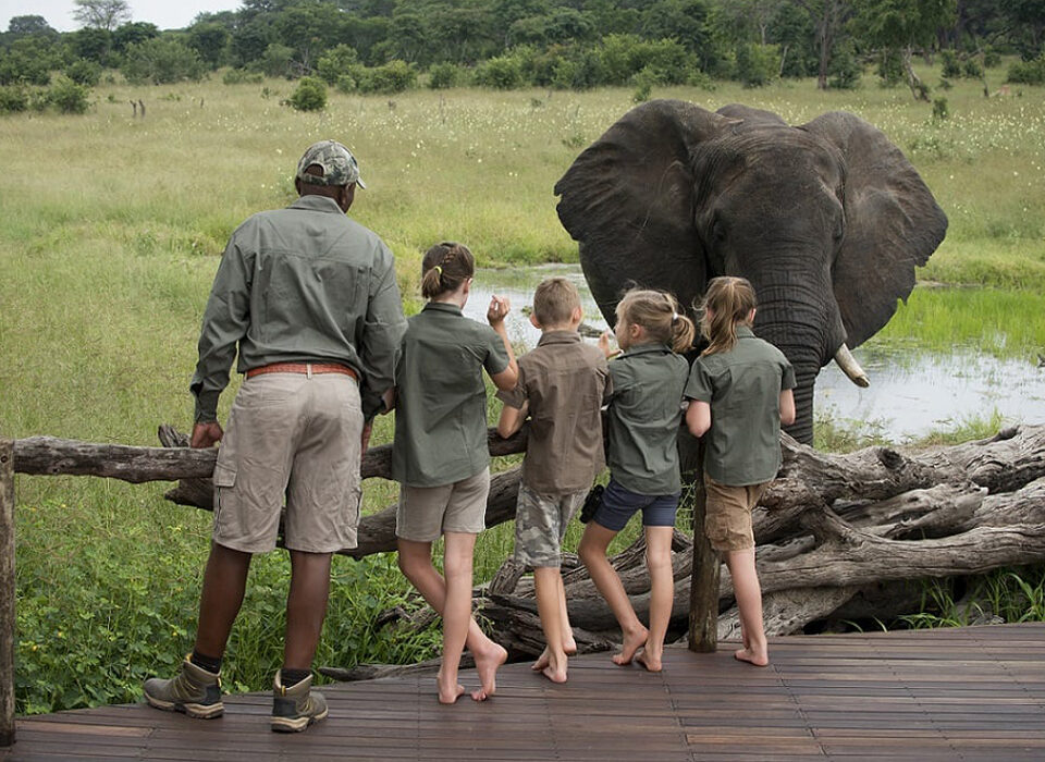 10 Considerations for Families Going on Safari