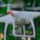 Can I Use a Drone to Film Gorillas in Uganda?