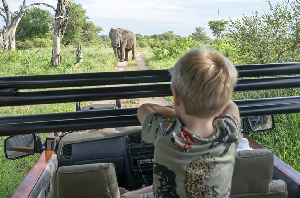 Can Children Participate in Game Drives?