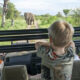 Can Children Participate in Game Drives?