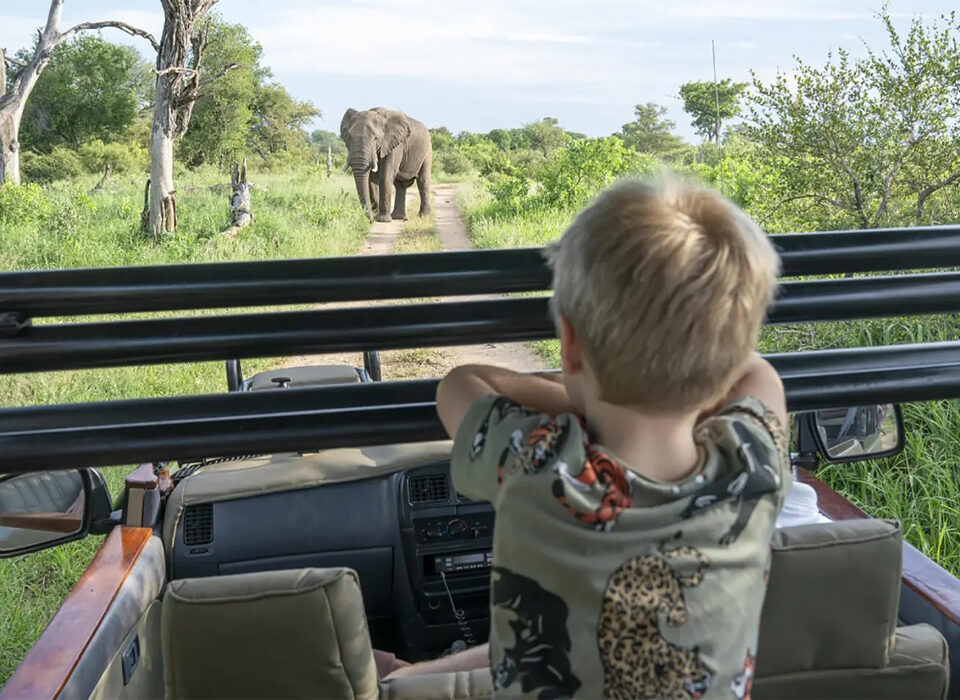 Can Children Participate in Game Drives?