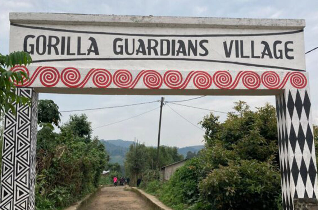 Gorilla Guardians Village Experience in Rwanda