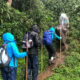 Gorilla Trekking During the Rainy Season?