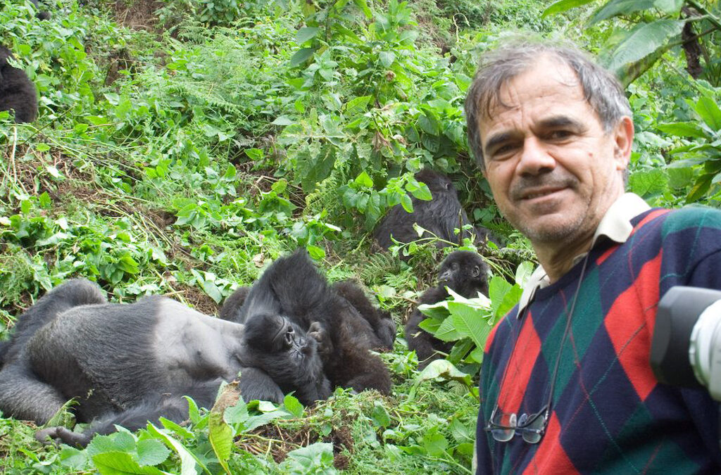 How Many People Are Allowed to Visit Gorillas in Uganda Per Day?