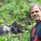 How Many People Are Allowed to Visit Gorillas in Uganda Per Day?