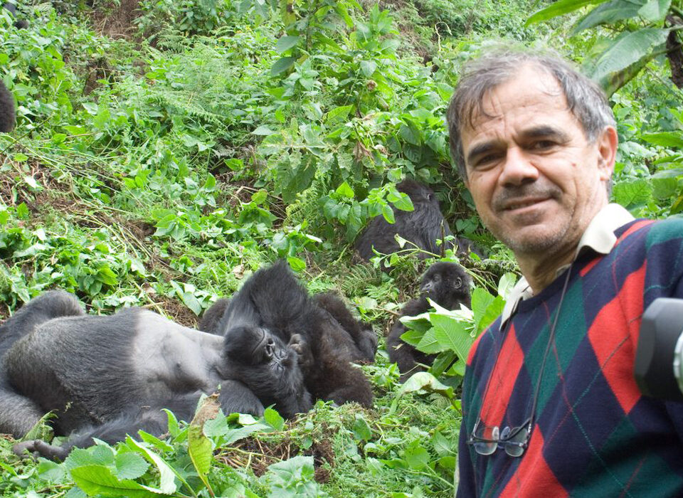 How Many People Are Allowed to Visit Gorillas in Uganda Per Day?