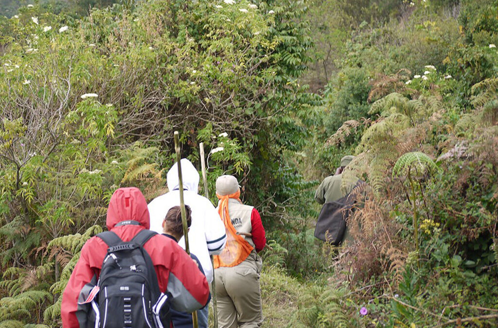 How to Have a Sustainable Hiking Trip in Uganda