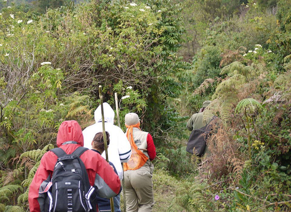 How to Have a Sustainable Hiking Trip in Uganda