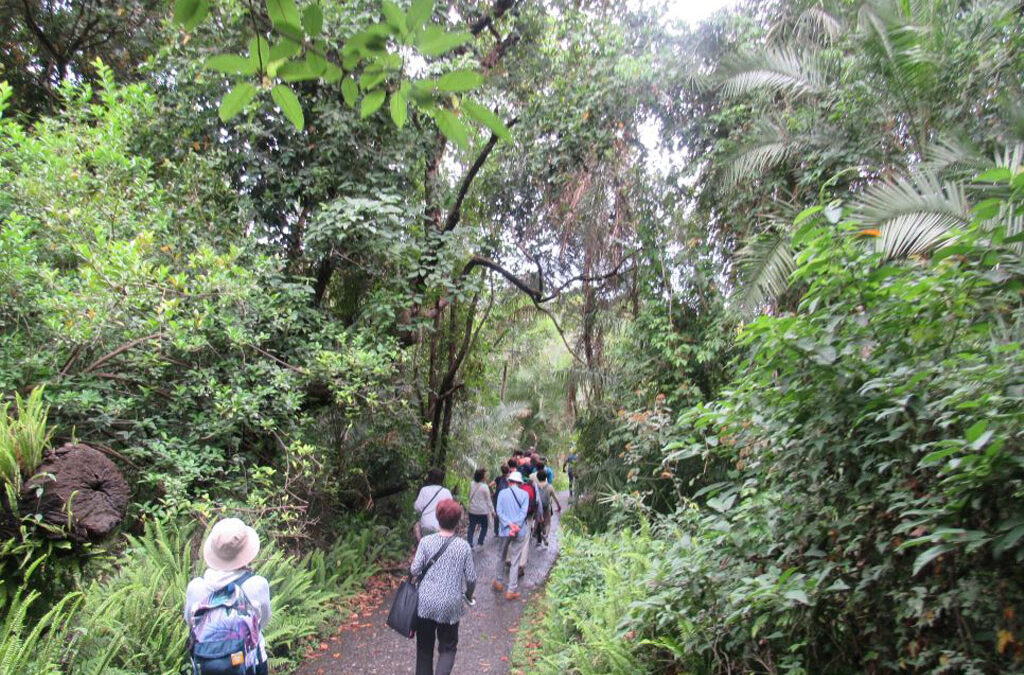 Rwanda Primate and Pilgrimage Tour