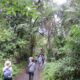 Rwanda Primate and Pilgrimage Tour