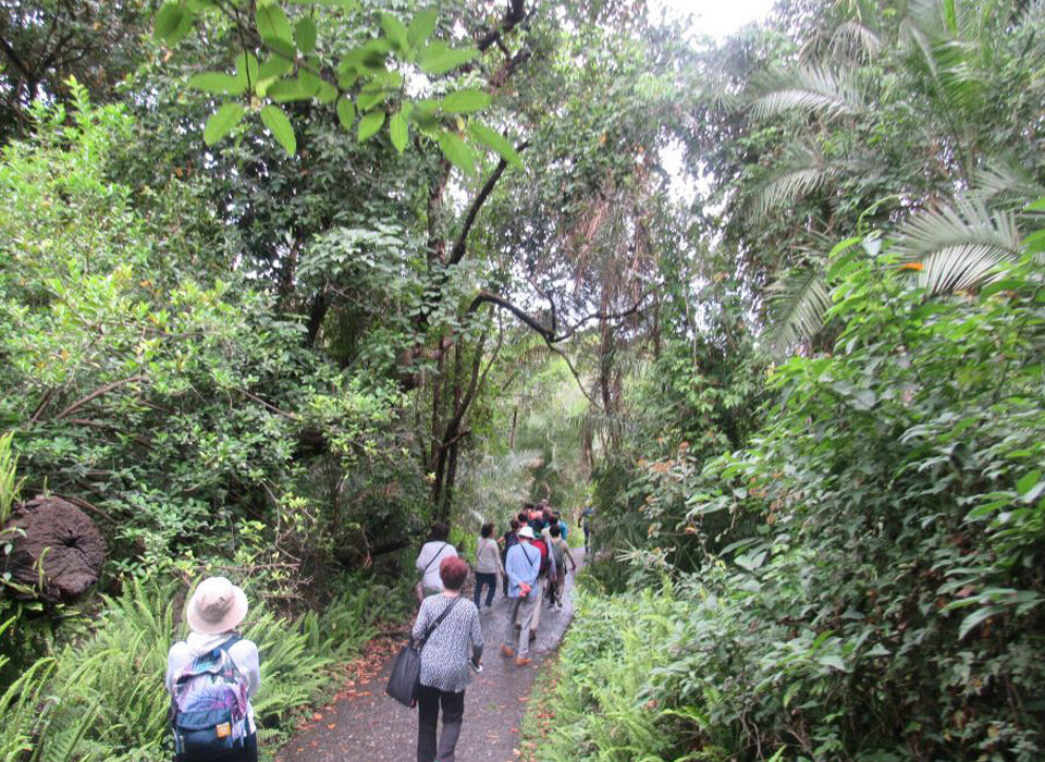 Rwanda Primate and Pilgrimage Tour