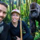 Magical Moments with the Mountain Gorillas