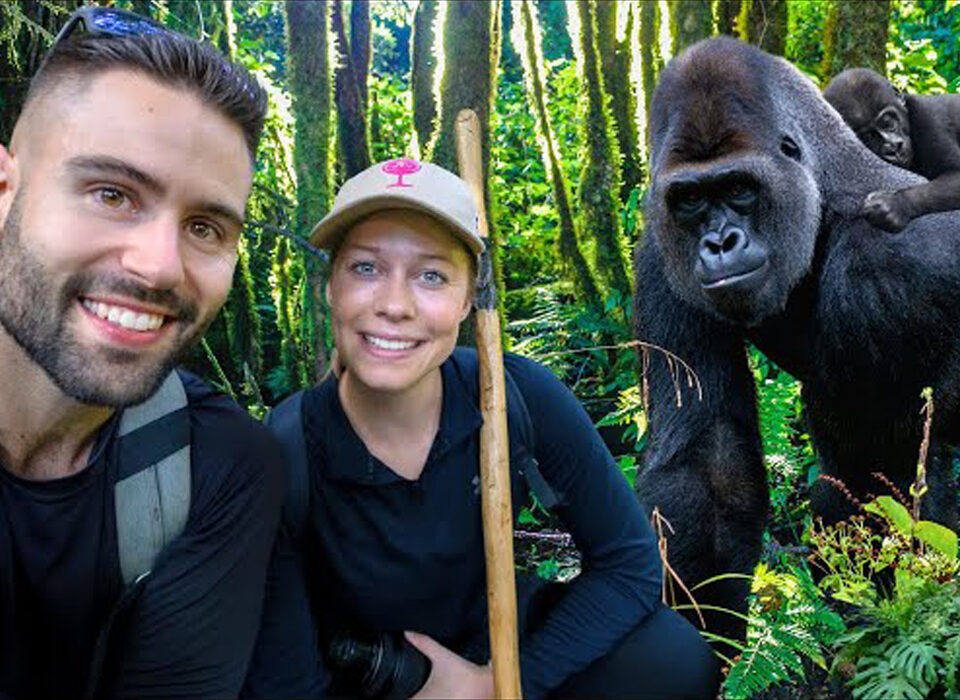 Magical Moments with the Mountain Gorillas