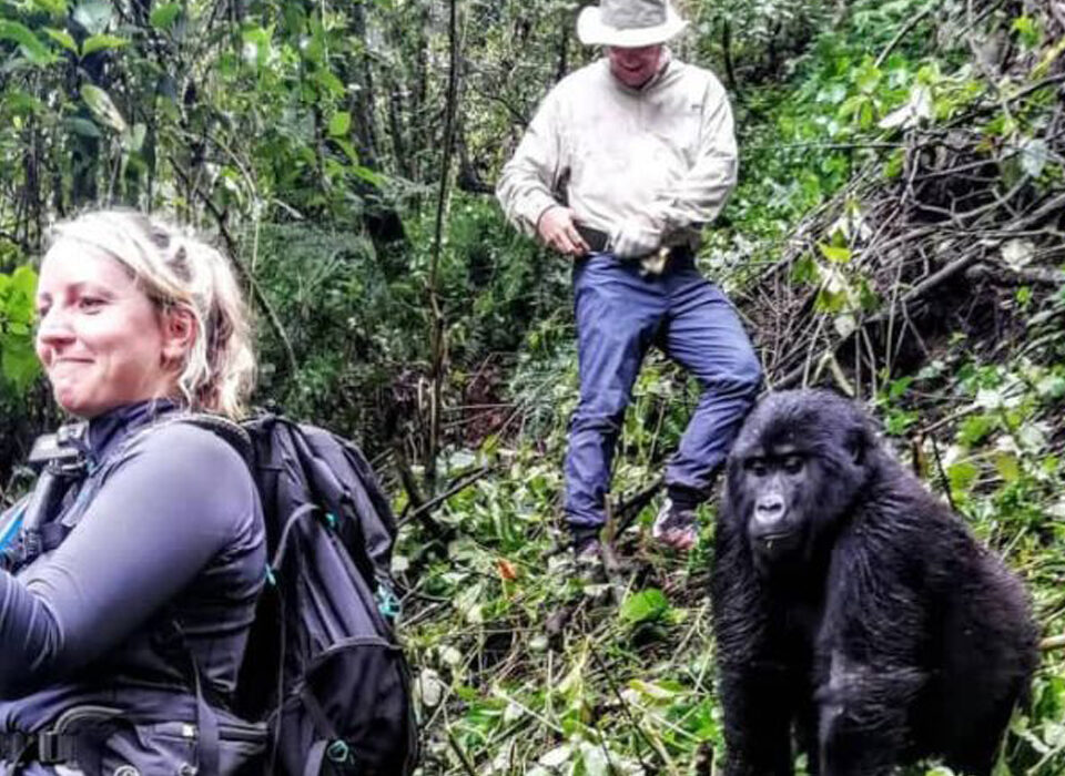 Gaiters vs Long Socks for Gorilla Trekking: Which One Is Best?
