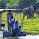 Motivating Factors for Planning Your 2025 Trip to Uganda