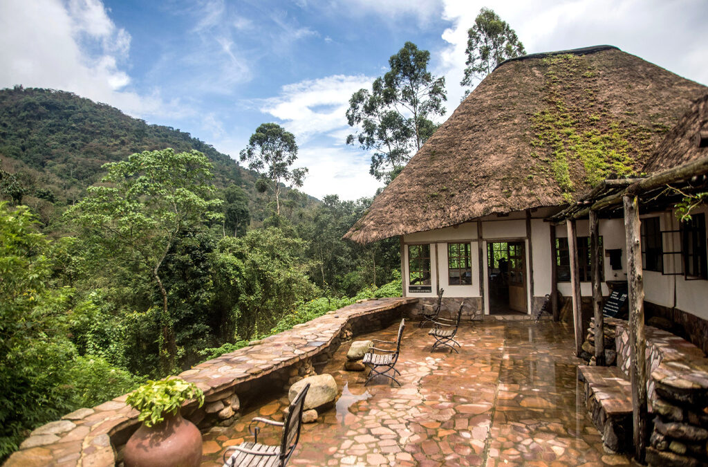 Where You Should Stay for Gorilla Trekking in Bwindi